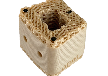 3D printed PEEK spinal implant. Photo via Curiteva.