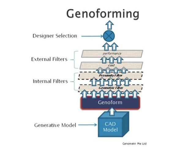 Genoforming过程