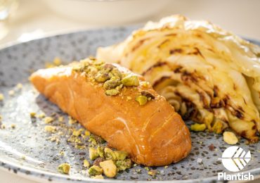 植物鲑鱼在营养上与传统鲑鱼相似，富含蛋白质、omega -3、omega -6和B族维生素。图片来自Shahaf berger。