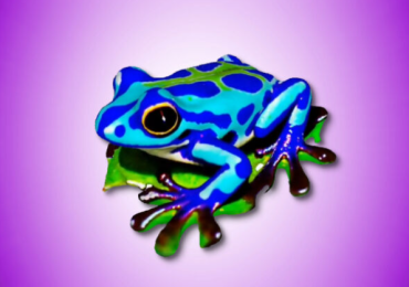 由Magic3D渲染成3D模型的毒箭蛙。图片来自英伟达。