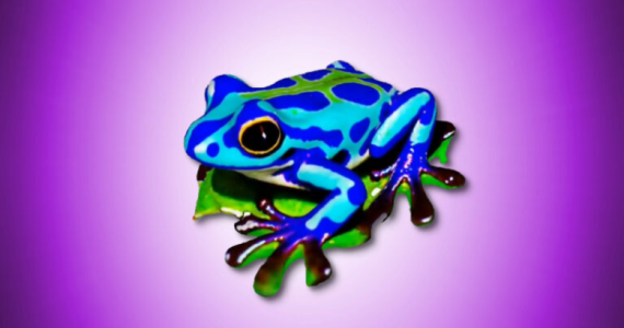 由Magic3D渲染成3D模型的毒箭蛙。图片来自英伟达。