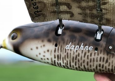 特色图像显示了一个特写的猎鹰形状的无人机鸟。图片来自The Drone Bird Company。