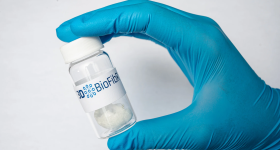 通过3 d BioFibRμCollaFibR。通过3 d BioFibR照片。