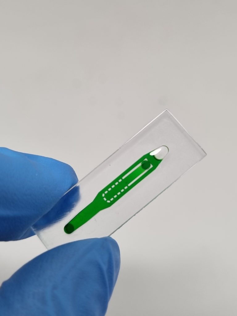 使用MOIIN树脂柱阵列3 d印刷。通过昆士兰科技大学的照片